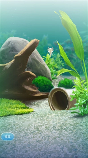 治愈的蝾螈图3