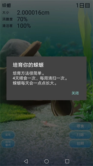 治愈的蝾螈图1