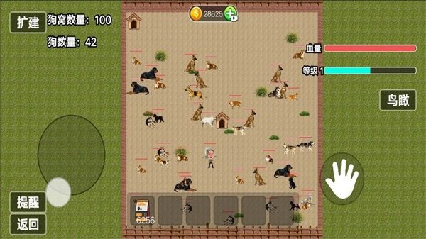 玩狗园区(3)