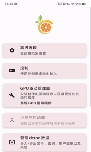 Citron模拟器安卓版截图2