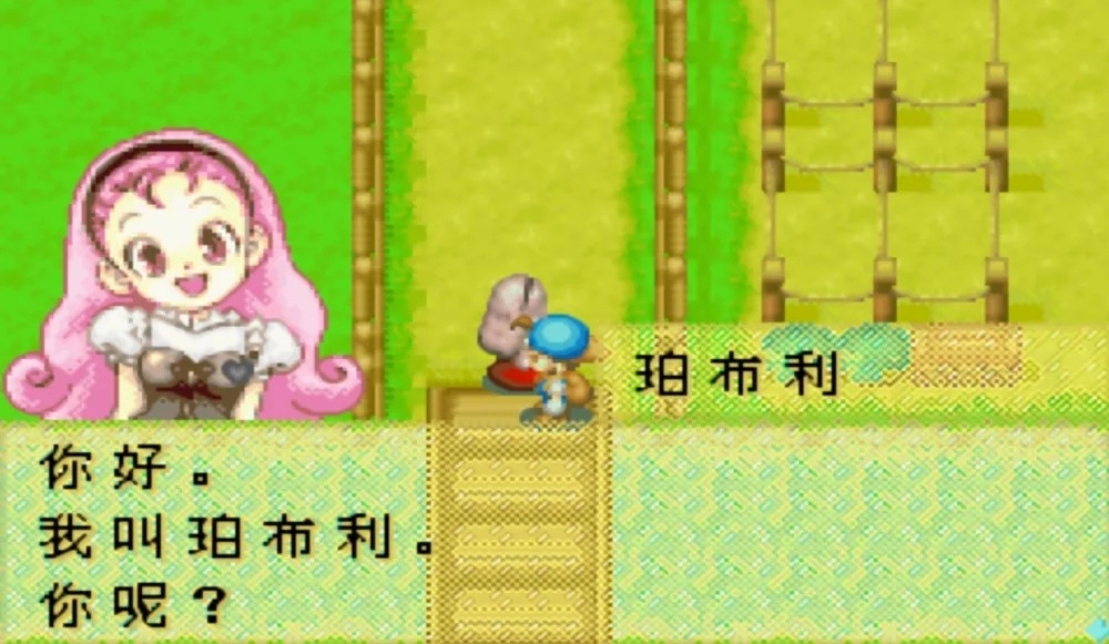 赛马牧场物语中文版截图1