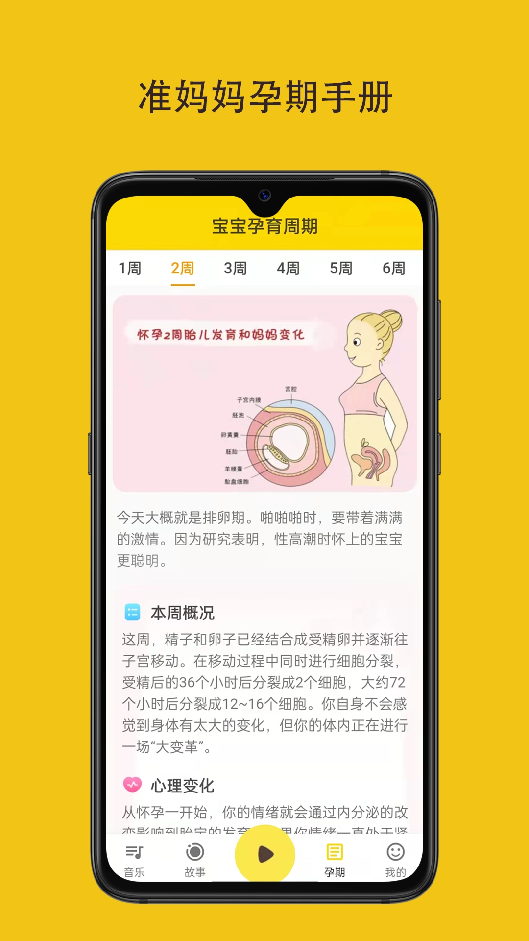 胎教音乐盒图3
