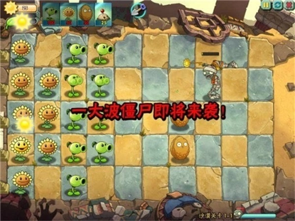 植物大战僵尸online正版(2)