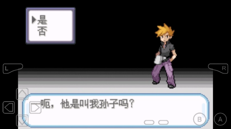 口袋妖怪不归之殇暗(4)