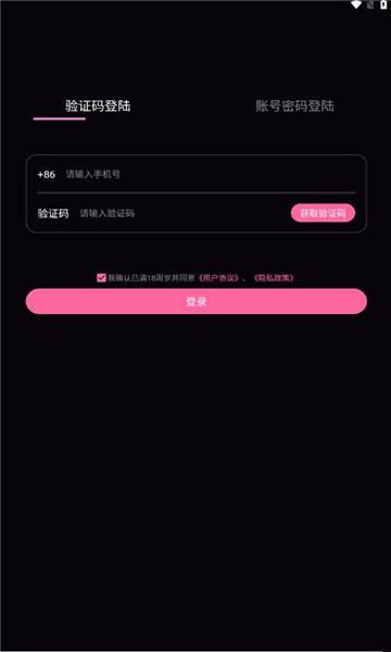 铁粉空间汉化版截图