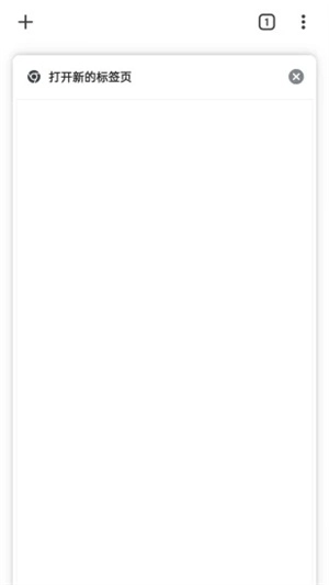 chrome浏览器中文版-图2