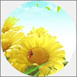 向日葵英语 V1.0