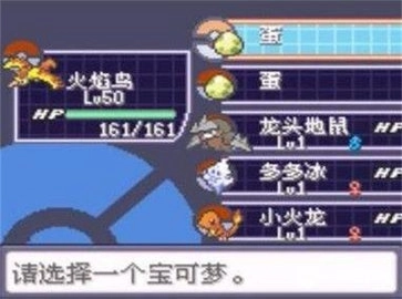 口袋妖怪究极绿宝石5