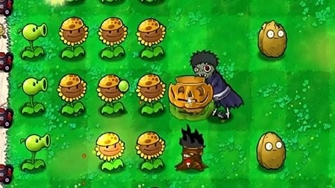 植物大战僵尸火影版(3)