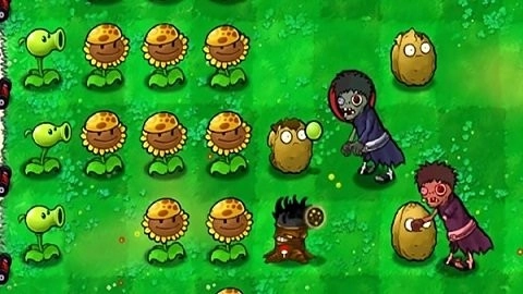 植物大战僵尸火影版(2)