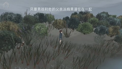 男孩与鹈鹕安卓版(1)