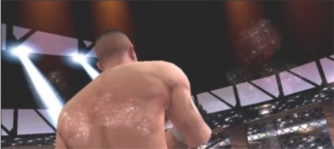 孤胆车神维加斯