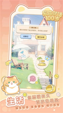 是猫就活100岁图3