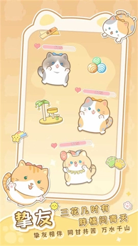 是猫就活100岁图5