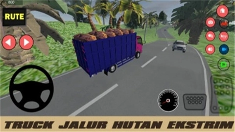 极限森林轨道卡车（Truck Jalur Hutan Ekstrim）图2