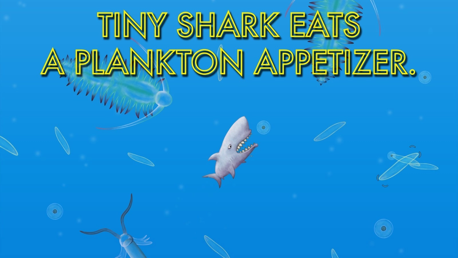 美味深蓝双人版截图1