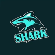 鲨鱼影视无升级无广告 