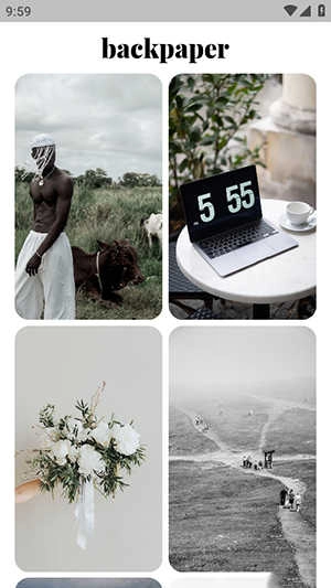 Backpaper 截图3