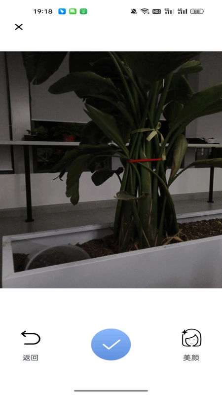 美颜复古照相机图3