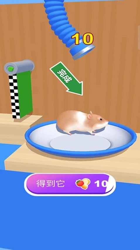 仓鼠迷宫游戏图4