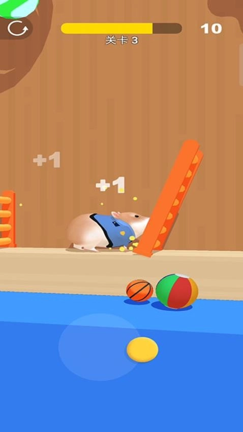 仓鼠迷宫游戏图2