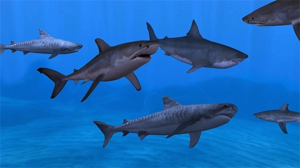 养鱼场3中文版图3