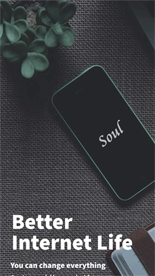 soul浏览器图3