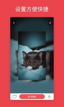 安卓动态壁纸图1