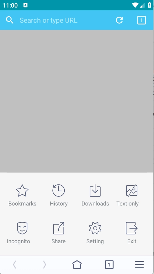 晴象浏览器 -图1