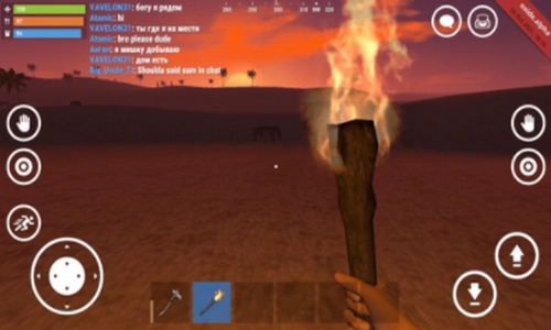 氧化物生存岛汉化版截图3