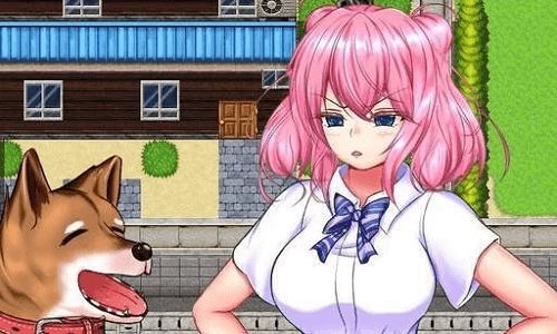 野良犬的寝室图3