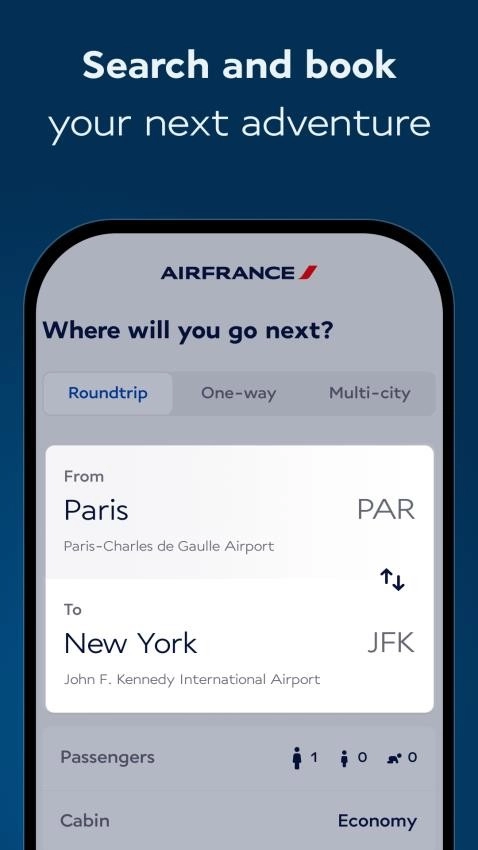 AirFrance图5