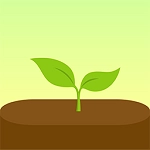 forest专注森林最新版