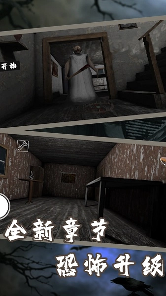 恐怖奶奶7手机版(3)