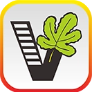 我要自学网手机版