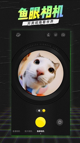 潮自拍最新版(4)