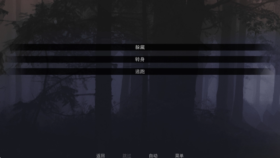 无处可藏游戏中文版5