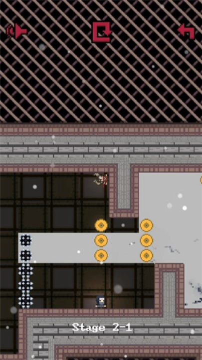 杀戮忍者游戏图4