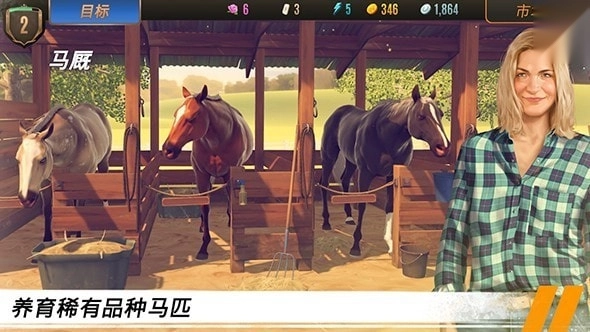 家族传奇马匹养成竞技(2)