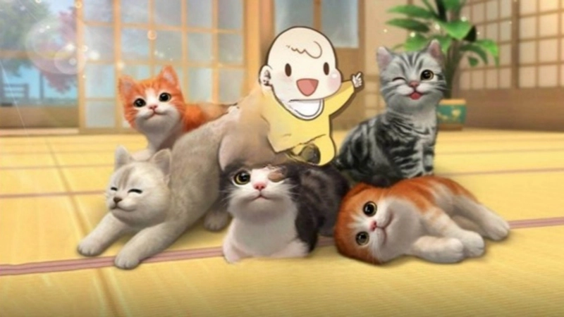 猫咪和奶奶的世界