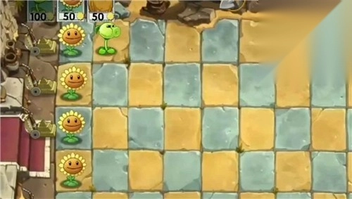 植物大战僵尸WENHUA