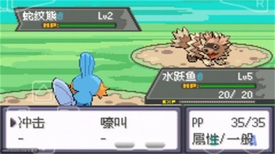 口袋妖怪绿宝石386完美版(3)