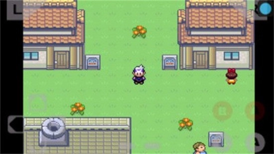 口袋妖怪绿宝石386完美版(2)