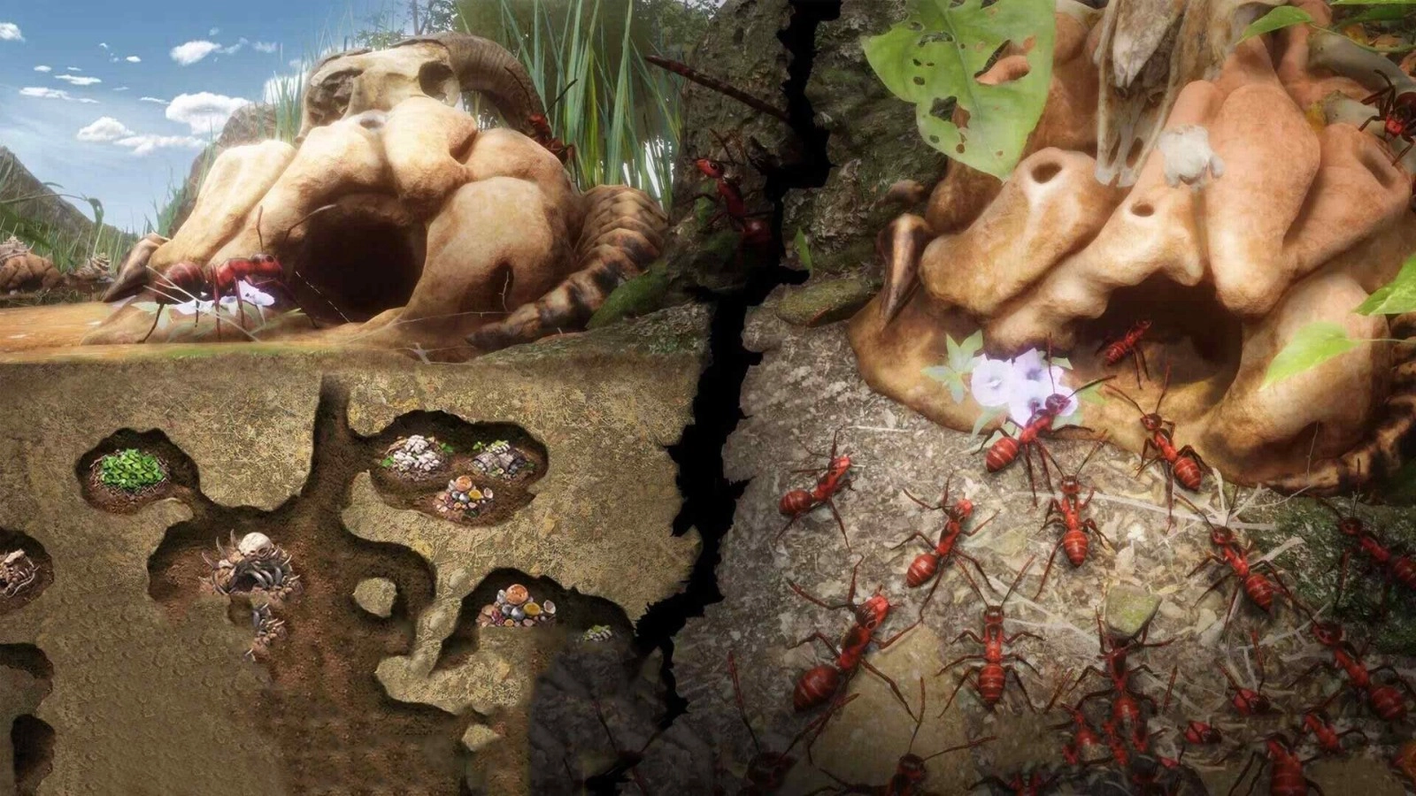 小小蚁窝游戏(2)