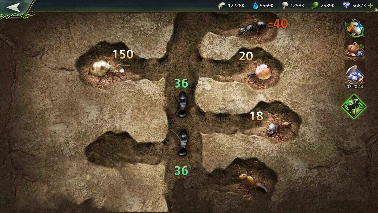 小小蚁窝游戏(3)