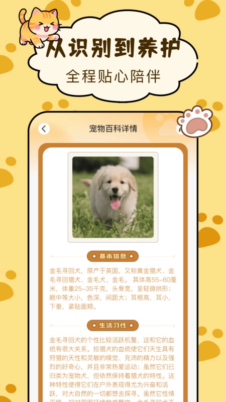 宠物伙伴百科(2)