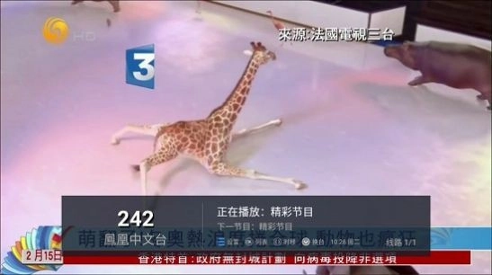 水星TV截图2