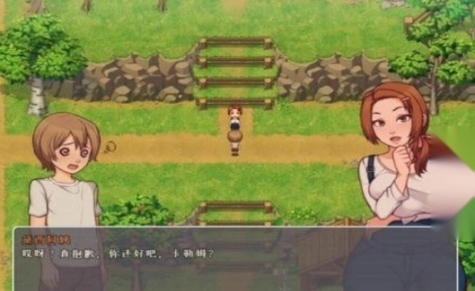 我的乡村日常生活