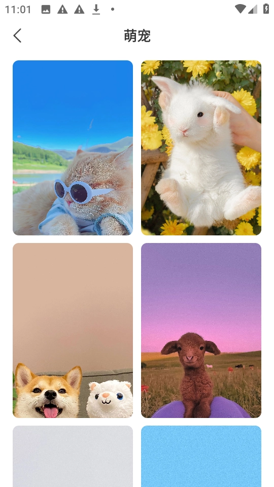 星汇壁纸手机版