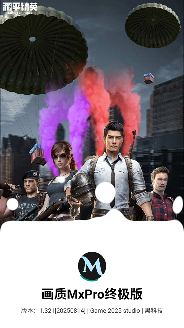 画质mxpro终极版图1